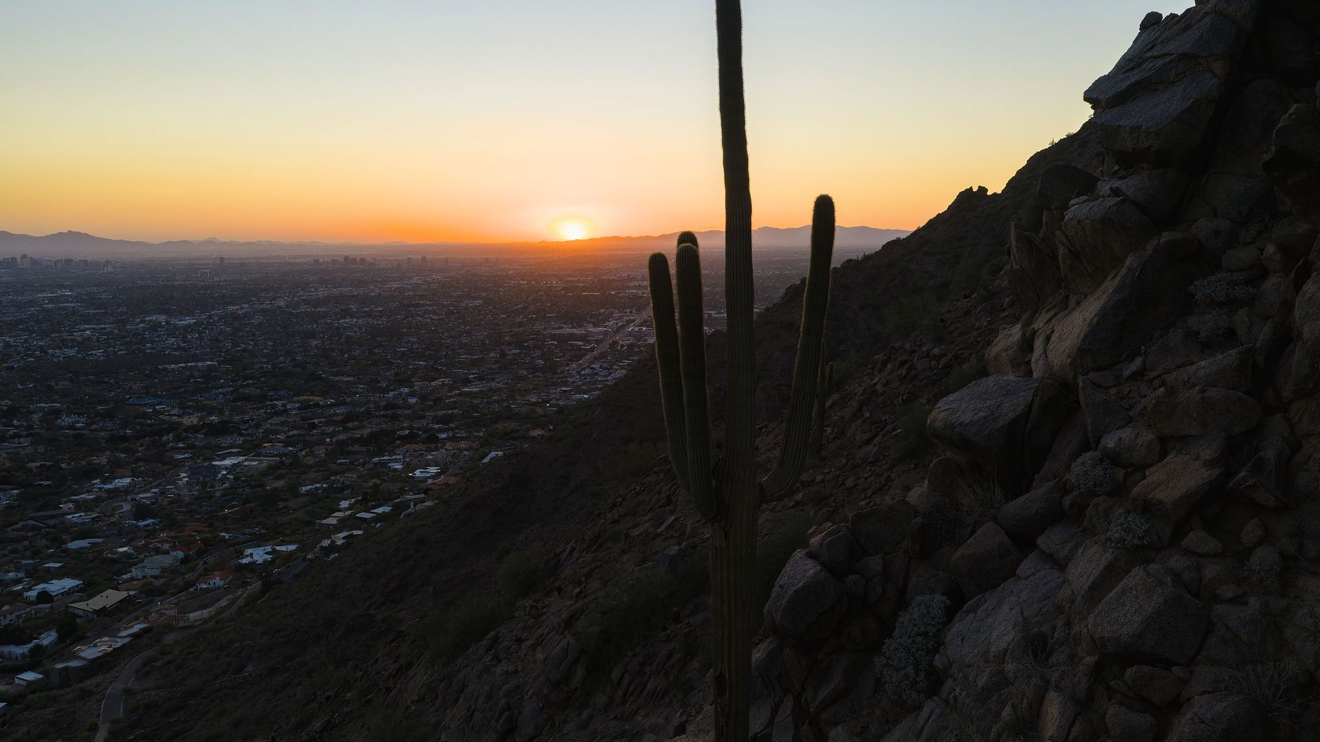 Saguaro cactus silhouetted at sunset on Camelback Mountain above the Valley