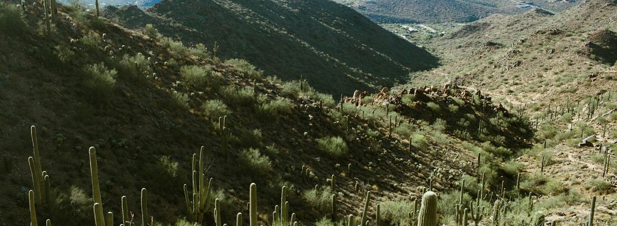 Arizona desert scenery near Fountain Hills